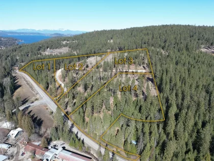Lot 4 Block 1 NKA Highway 97, Harrison, ID, 83833