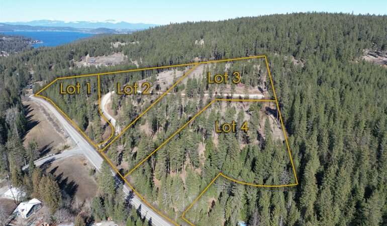 Lot 3 Block 1 NKA Highway 97, Harrison, ID, 83833