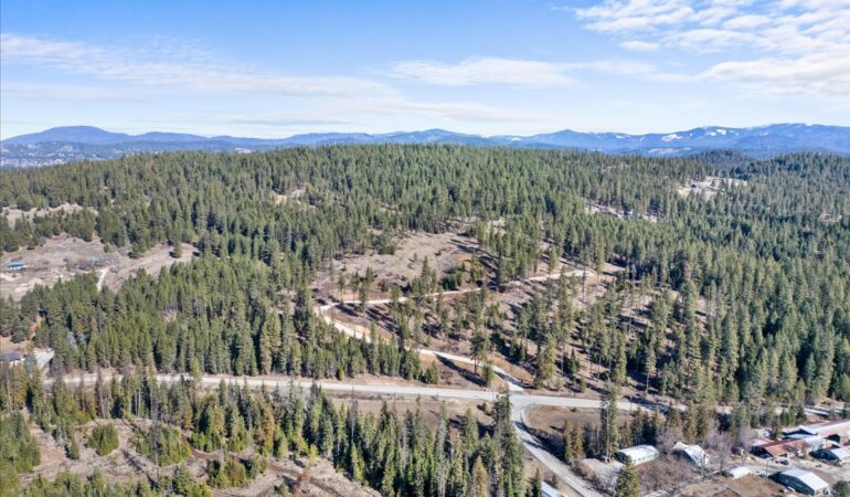 Lot 3 Block 1 NKA Highway 97, Harrison, ID, 83833
