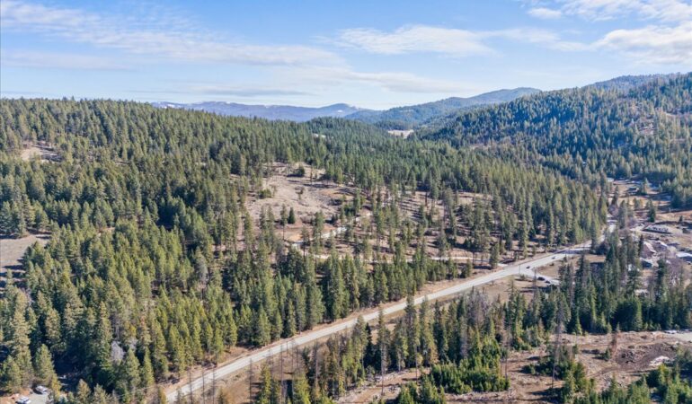 Lot 3 Block 1 NKA Highway 97, Harrison, ID, 83833