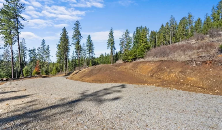 Lot 4 Block 1 NKA Highway 97, Harrison, ID, 83833