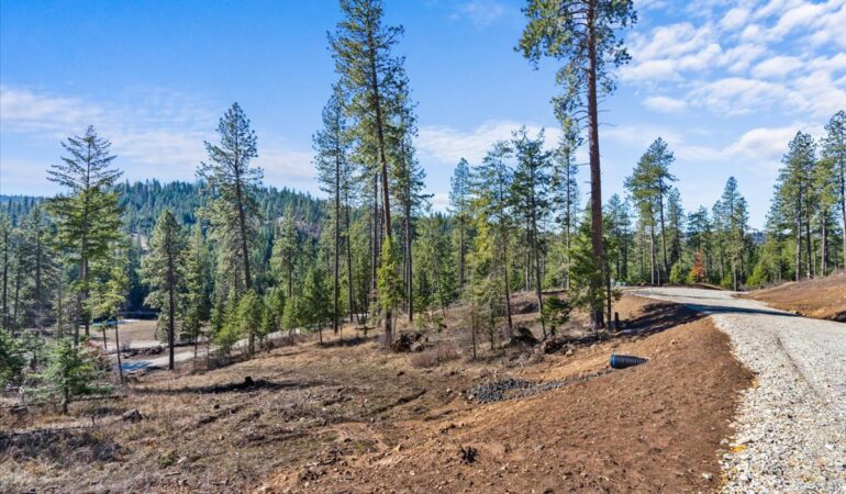 Lot 3 Block 1 NKA Highway 97, Harrison, ID, 83833