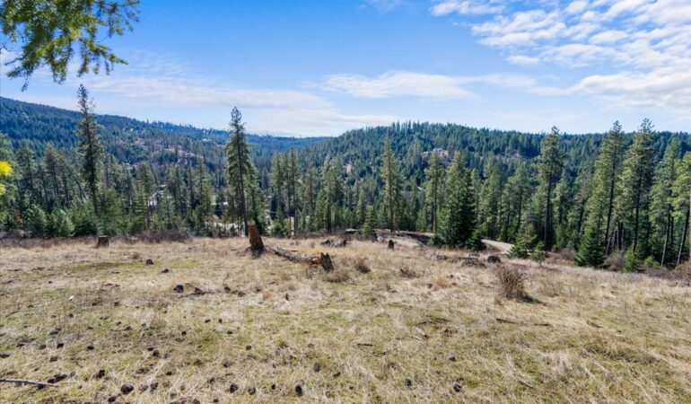 Lot 3 Block 1 NKA Highway 97, Harrison, ID, 83833