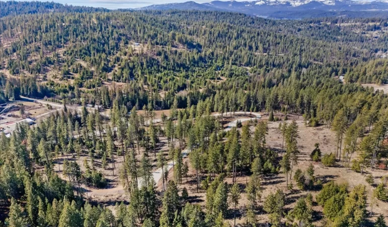 Lot 3 Block 1 NKA Highway 97, Harrison, ID, 83833